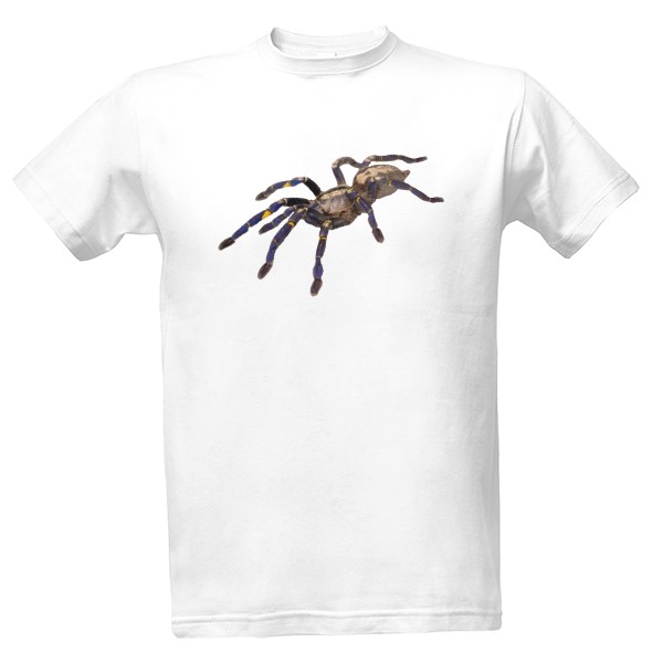 Tričko s potiskem Poecilotheria metallica